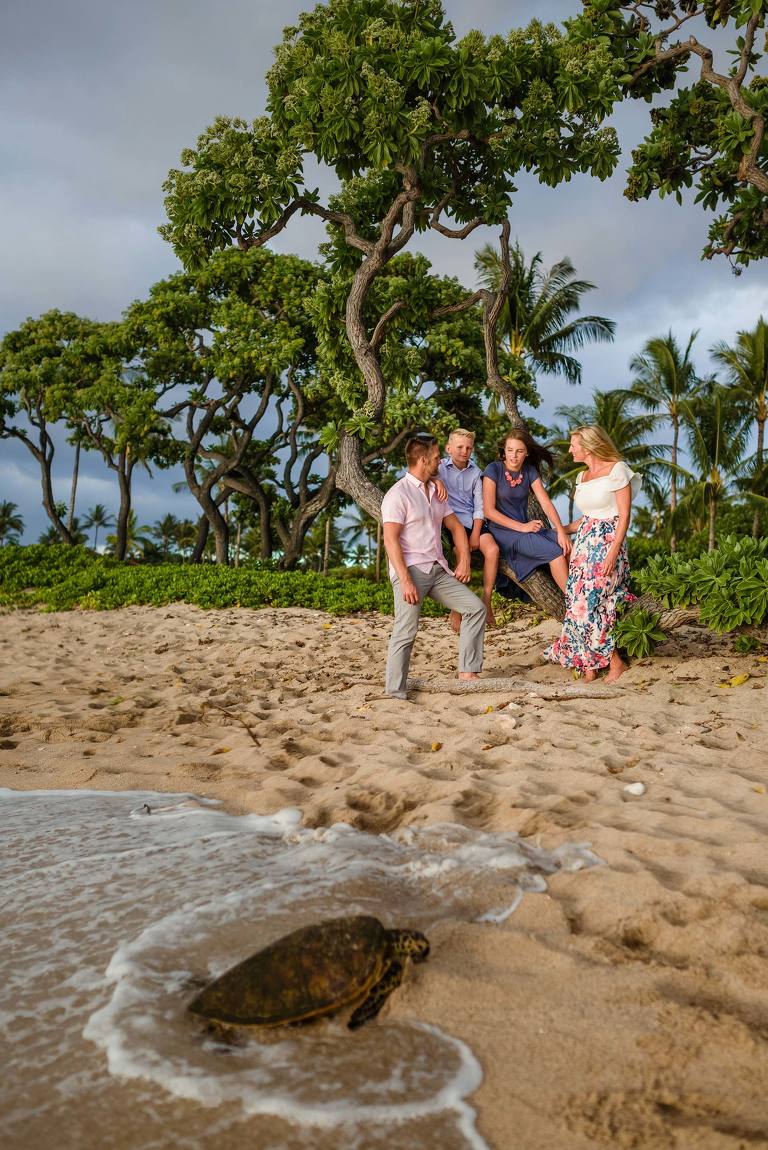 family in hawaii with a turtle