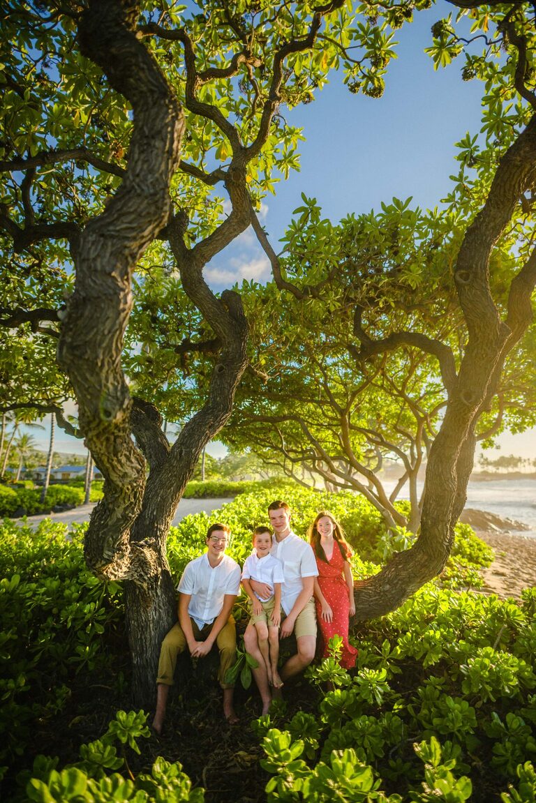Kids sitting on a beach tree
